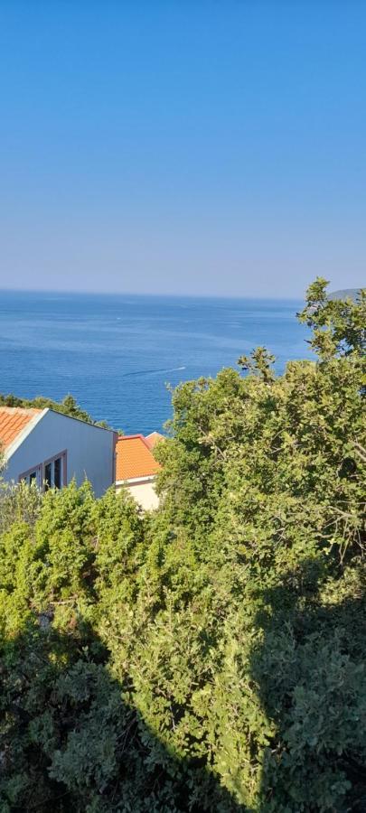 Ivana Ratac Apartment Sutomore